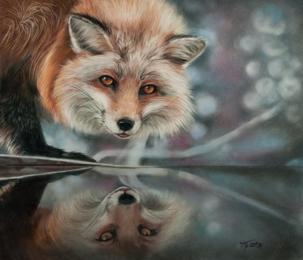 Fox Reflection