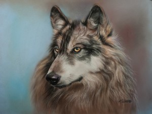Pencil Wolf 4