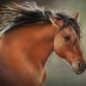 Bolero Horse