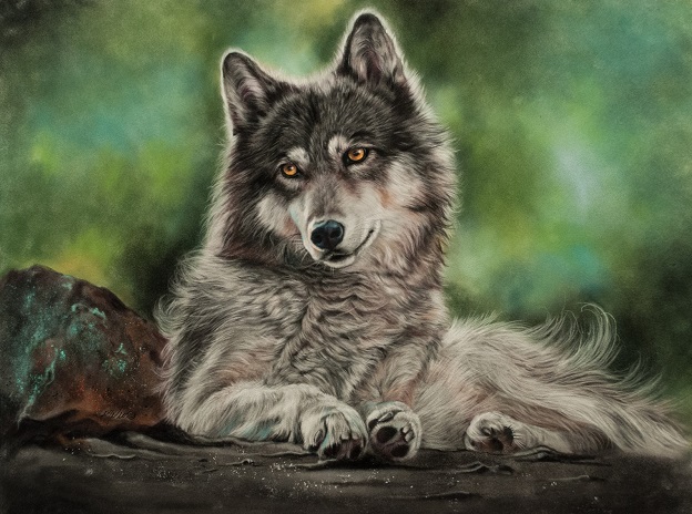 Cree Wolf