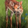 Fawn Packet