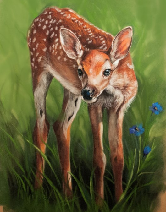 Fawn Packet