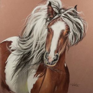 Miss Scarlet Gypsy Horse