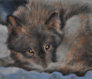 wolf portrait stage 3
